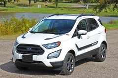 2013-2020 Ford EcoSport FLYOUT Side Door Decal and Hood Vinyl Stripe Graphic Kit