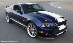 2010 – 2012 Ford Mustang 18″ & 21″ Snake Style Super Dealer Quality Stripes