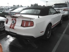 Ford MUSTANG Duel Twin 5″ Racing Stripes Vinyl Graphic Decal Sticker 36 FEET