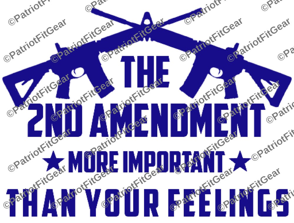 2nd Amendment,More Important Than your feeling,12×9,Gun Rights,Molon Labe,Decal