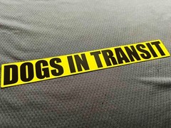 Reflective 30cm DOGS IN TRANSIT SOLO Security Car Van Truck Stickers Reflector