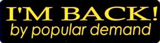 I’m Back By Popular Demand Motorcycle Helmet Sticker B