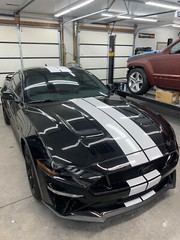 7.5″ PLAIN Rally Racing Stripe Graphics Stripes Set FIT 2015 – 2025 Mustang