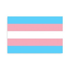 Transgender Pride Flag Sticker – [4” x 6”]
