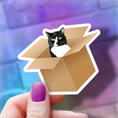 Cat in a Box Sticker: Tuxedo Cat Decal: