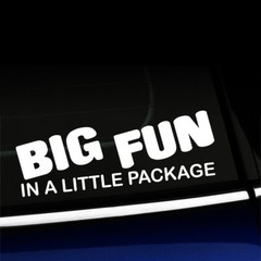 Big Fun – Sticker Decal for MINI Cooper Smart Car Fiat Beetle – Choose color!
