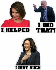 Joe Biden Kamala Harris I DID THAT 3 PACK Funny Sticker Decal Gas Pump Oil