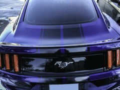 Rocker Stripe for Ford Mustang GT500 ecoboost 2014 2015 2016 2017 2018 2019 2020