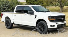2021-2026 Ford F-150 FP700 Side Door Stripes Decals Vinyl Graphics MATTE BRONZE