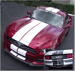 10 11 12 13 14 Ford MUSTANG 10″ DUEL Racing Vinyl Stripe Graphic Decal 36 FT.