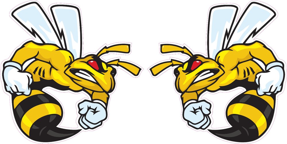 Ski-Doo Angry Bee Large Pairs Decal 12″ Each
