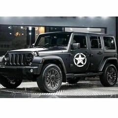 20” White Army Star Distressed Decal Car Hood Side Body Badge For Jeep Wrangler