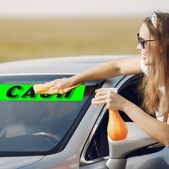 12-Pack Green Vinyl Car Lot Advertising Stickers for Dealerships