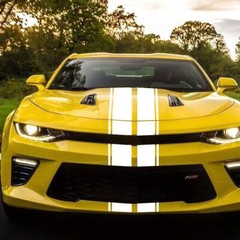 78.8” White Rally Racing Style Stripe Decal Sticker For Ford Mustang Etc