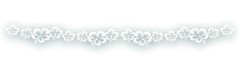 Windshield Decal Sticker Hawaii Hibiscus Tropical Exotic Aloha Flower Car Truck