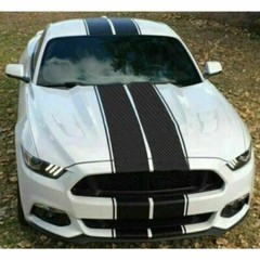 Carbon Fiber Stripes Hood Roof Trunk Sticker for Universal Sport Race Car Decor