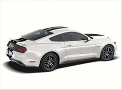 Genuine Ford Graphics Kit VGR3Z-6320000-CC