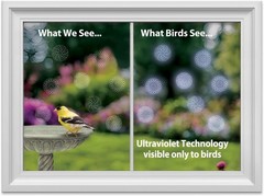 Floral Theme UV-Reflective Window Decal – Modern Dots Bird Safety Décor