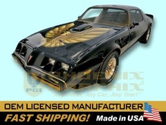 1978 1979 1980 Trans Am Special Edition Bandit Firebird Decal StripeKit COMPLETE