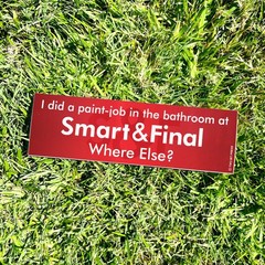 Smart Final Bumper Sticker – Funny ITYSL Meme Vintage Style Y2K Vinyl Decal 90s