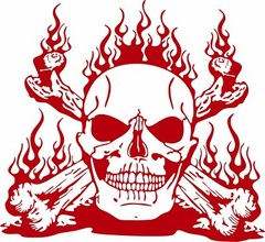 Skull Flames Cross Bones Zombie Car Truck Window Laptop Vinyl Decal Sticker