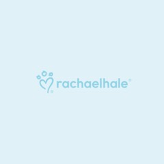 Shih Tzu Dog Black White on Blue Circle Bumper Window Sticker
