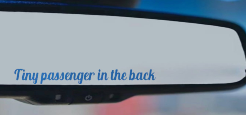 “TINY PASSENGER IN THE BACK” vinyl decal sticker car truck rearview mirror black