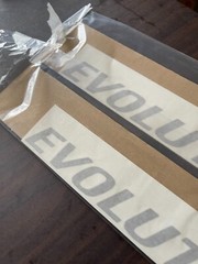 Genuine MITSUBISHI LANCER EVO5 CP9A EVOLUTION V Side Door Decal Silver Yellow