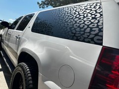 Cheetah / Leopard Decals Compatible with Ford Excursion Side window Both Sides.