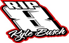 8 Kyle Busch RIP Nascar vinyl window decal racing sticker