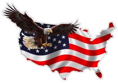 American Eagle United States V1 Decal