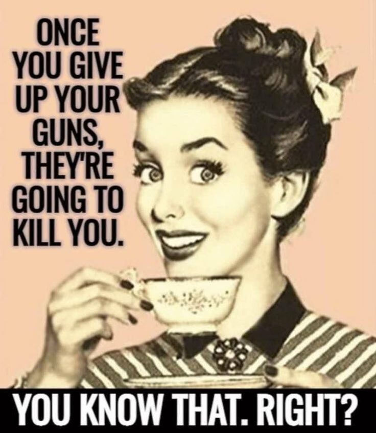 Gun Rights Sticker 3” (10 Pack) USA 2nd Amendment Quote Funny Give Up Your Guns