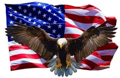 Soaring Bald Eagle American Flag Decal Large 36″