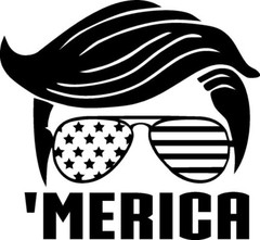 Trump “MERICA Decal 6″ x 5.5”