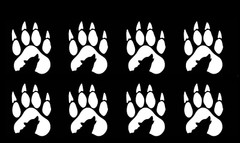 Howling Wolf Footprints 8 White Vinyl Decals Car Truck Windows Laptop Notebook