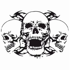 Car Hood Body Side Stickers Custom Triple Skull Graphics Vinyl Decal Waterproof