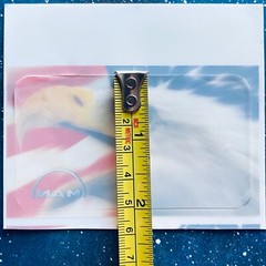 Vinyl Window Cling Decal Peal&Stick Eagle American Flag USA Auto Rectangle Shape