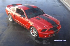2005 – 2009 Ford Mustang Snake Style 21″ Super Stripes Dealer Quality
