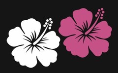 Hibiscus Flower Decal | Hibiscus Flower coffee cup decal |