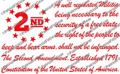The Second Amendment,12″x7.5″,Gun Rights,Molon Labe,We The People,Vinyl Decal