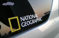 National Geographic Logo Sticker Car Graphic Decal Korea Size & Color Optional