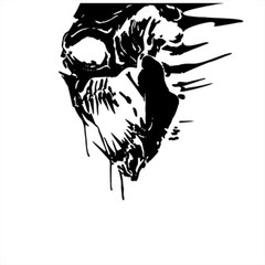 Skull Sticker Vinyl Graphic Decals For Car Trunk Pickup Side Truck Tailgate 2Pcs