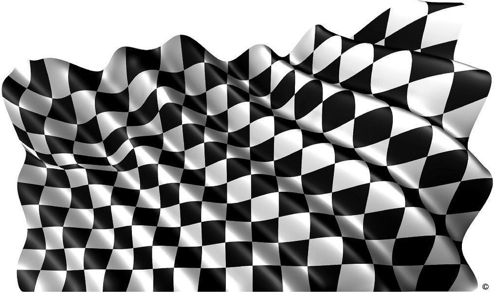 Checkered Racing Flag decal Camper RV motor home mural graphic