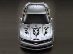 Tribal Stripe Hood & Side Vinyl Decal Truck Vehicle Graphic SUV Car Pickup Boat