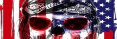 Skull American Flag Pick Up Truck SUV Rear Back Window Graphics Decal Wrap Tint