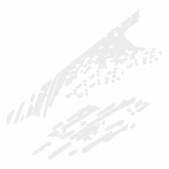 Decal Sticker Side Bed Mud Splash Kit For Ford Raptor F-150 Rear Tail 09-18