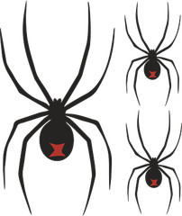 RED BACK / BLACK WIDOW SPIDER + 2 x HALF SIZED SPIDER Decals Black and Red