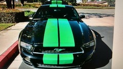 10 11 12 13 14 Ford MUSTANG 10″ DUEL Racing Vinyl Stripe Graphic Decal 36 FT.