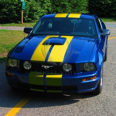 Satin Chrome Metallic Matte Racing Stripes Vinyl Wrap Rally Sticker 10/20 Long