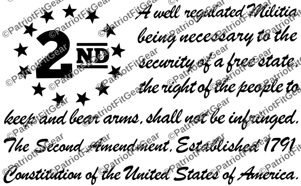 The Second Amendment,12″x7.5″,Gun Rights,Molon Labe,We The People,Vinyl Decal